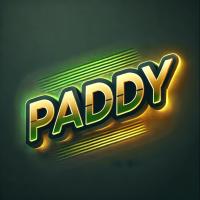 paddydigital.org - Premium domains for sale